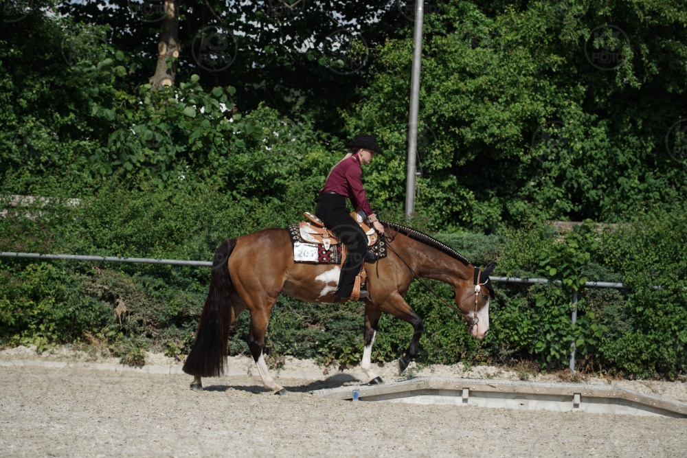s_APF06574.jpg